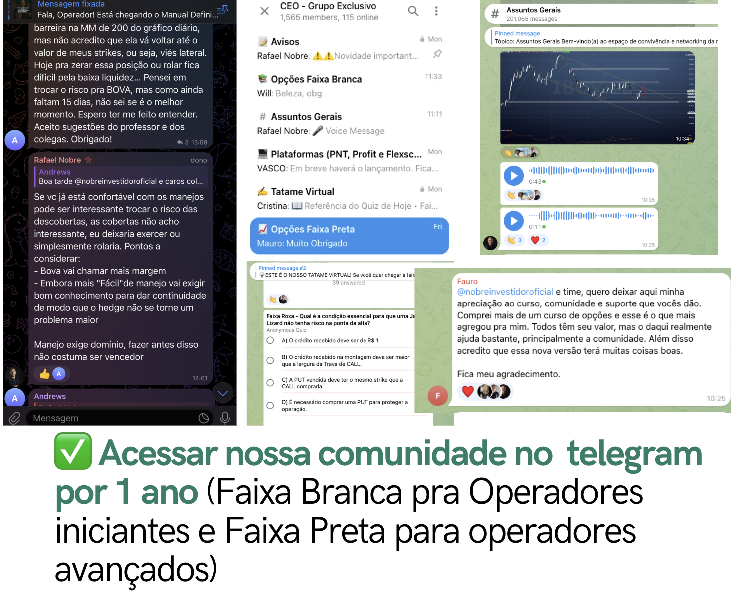 Prints da comunidade no Telegram: grupos Faixa Branca, Faixa Preta, Tatame Virtual e Assuntos Gerais
